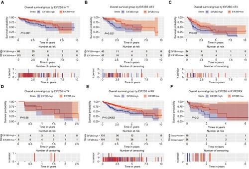 Figure 5 Survival analysis of EIF2B5 expression in terms of overall survival.Notes: Kaplan–Meier curves produced survival analysis and subgroup analysis of T classification (T1, T2, T3, and T4; A–D) and residual (R0 and R1/R2/RX; and E, F).