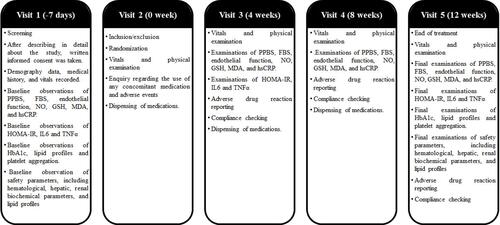 Figure 1 Treatment protocol.