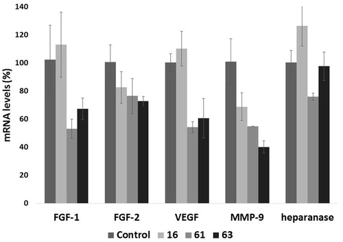 Figure 6. Effect of compounds 16, 61 and 63 (1 µM) on the expression of select angiogenesis-related genes. The expression levels of FGF-1, FGF-2, VEGF, MMP-9, and heparanase mRNA in HT1080 cells, upon 24 h of treatment, were measured through real-time qPCR analysis. Results are expressed as % with respect to untreated cells.