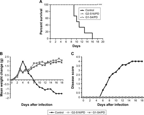 Figure 6 G1-S4 and G2-S16 dendrimers prevent vaginal high-dose HSV-2 infection in the presence of PD.Notes: Medroxyprogesterone acetate-treated BALB/c mice were vaginally challenged with 105 PFU HSV-2 1 hour after applying the indicated gel (six mice/group). Mice were examined daily for body weight and genital pathology over 18 days. (A) Percentages of infection over time are shown for each treatment group. Dendrimer-based gels containing 3% dendrimer and 0.25 mM PD were significantly more protective than vehicle alone (***P<0.001 vs placebo). (B) Body weight changes were expressed as the mean values of ten animals in the same group. Each mean value was calculated by subtracting the weight at day 0 from the weight at day N after infection. (C) Clinical pathology was scored as described in the text for 18 days. Lesion scores were expressed as the mean values of six mice in the same group.Abbreviations: HSV-2, herpes simplex virus type-2; PD, Platycodin D; PFU, plaque forming unit.