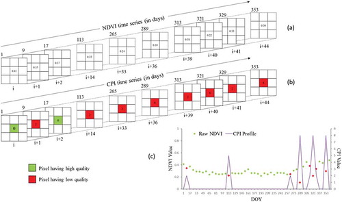 Figure 2.  Graphical representation of time-series NDVI and CPI values extracted from MODIS 500 m data of 2014: (a) time-series NDVI, (b) time-series CPI, and (c) relationship between time-series NDVI and CPI values.