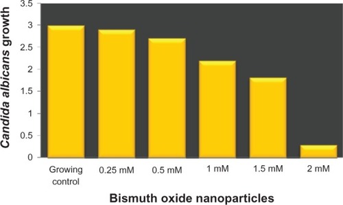 Figure 3 MIC of bismuth oxide nanoparticles against Candida albicans growth.Notes: The y axis shows the optical density units of C. albicans growth; the x axis shows the different concentrations of Bi2O NPs analyzed. C. albicans culture without inhibitor was used as a growth control. Experiments were carried out three times and each time by triplicate. Average results were obtained from the three independent experiments.Abbreviations: Bi2O3, bismuth oxide; MIC, minimal inhibitory concentration; NP, nanoparticle.