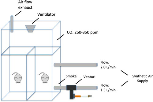 Figure 2. Cigarette smoke exposure chamber.