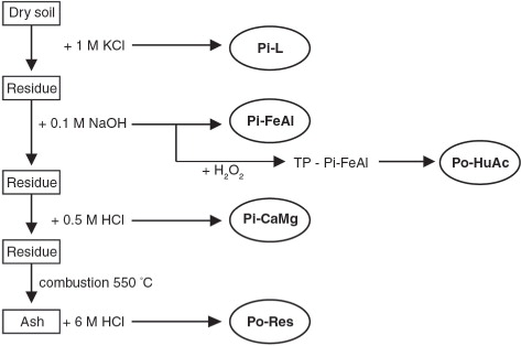 Fig. 3  Scheme used to determine the phosphorus fraction, developed by Reddy et al. Citation1998 (Ziółek Citation2007).