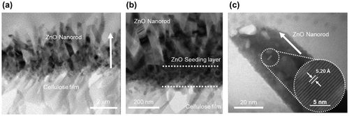 Figure 2. TEM images of (a) the CEZOHN with (b) interface morphology and (c) a high resolution image of a ZnO nanorod.