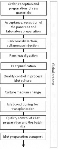 Figure 1. Process mapping of human islet isolation and conditioning