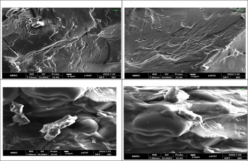 Figure 1. (a) SEM image of encapsulated probiotic with 2% water chestnut starch nanoparticles, (b) encapsulated probiotic with 1% (water chestnut starch nanoparticles, (c) encapsulated probiotic with 1% (rice starch nanoparticles), (d) encapsulated probiotic with 2% (rice starch nanoparticles).