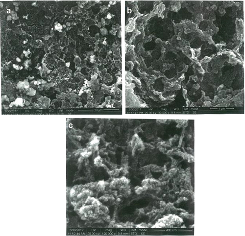 Figure 1. HR-SEM images for CS-TPP-NPS with drug (a) 10µm (b) 1µm (c) 40nm.