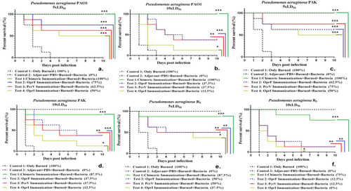Figure 3 Comparison of survival rate in the two control groups (including non-immune mice that were only burned and those received adjuvant with PBS) and the mice immunized with four vaccine candidates (chimeric protein, OprI, OprF, and PcrV) that were challenged with burn wound infections by the P. aeruginosa strains of PAO1, PAK, and R5. *p< 0.05, **p< 0.01 and ***p< 0.001.Abbreviation: ns, not significant.