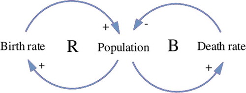 Figure 5. Example of a causal loop diagram modeling population growth.
