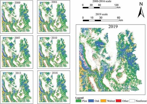 Figure 6. Spatiotemporal distribution of the dominant tree species groups obtained from the model with the MCCDC coefficients and phenological parameters.