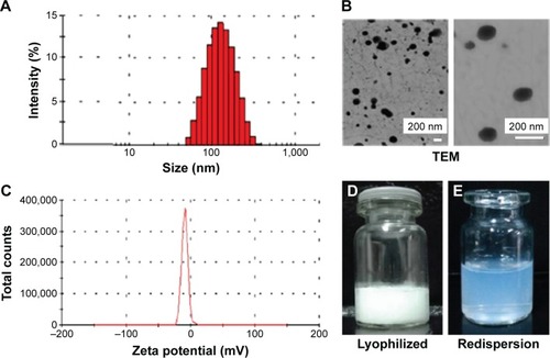 Figure 2 Characterization of sorafenib-LNS.Notes: (A) Particle size and size distribution, (B) TEM images: level of magnification of the left image is 19,000×; the right image magnification is 70,000×; (C) zeta potential, (D) photograph of lyophilized sorafenib-LNS, and (E) photograph of lyophilized sorafenib-LNS after redispersion.Abbreviations: Sorafenib-LNS, sorafenib-loaded lipid-based nanosuspensions; TEM, transmission electron microscopy.