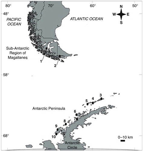 Fig. 1  Study sites sampled for Desmarestia species from which photosynthetic pigments chl a chl c and Fucox were extracted. Shown are the sites in the sub-Antarctic ecoregion: (1) Saint Ana Point (Brunswick Peninsula); (2) Paula Bay (Beagle Channel) and the study sites sampled in the Antarctic Peninsula; (3) Fildes Bay (Fildes); (4) Hanna Point (Hanna); (5) Prat Point (Prat); (6) Deception Island (Deception); (7) Spring Point (Spring); (8) Argentine Island (Argentine); (9) Rothera Base (Rothera); and (10) Carvajal Base (Carvajal).
