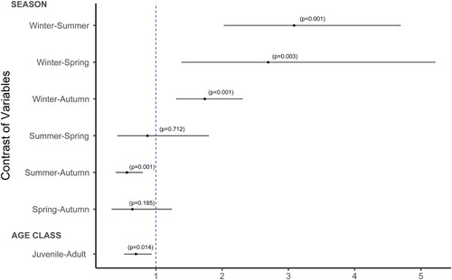 Figure 2. Odds ratios plot with 95% confidence intervals showing the ratio of odds between seasons (winter, spring, summer and autumn) and between age classes (juveniles and adults). The blue dotted line represents the statistical probability (p) that the odds ratio equals 1.