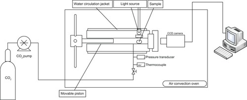 Figure 1 Experimental apparatus for phase-behavior observations.