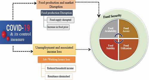 Figure 1. Conceptual framework of COVID-19 and food insecurity.Source: Authors own design