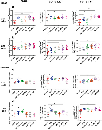 Figure 2. SA-TB vaccine induces robust T cell and antibody responses in mice. B6 mice (n = 10 per group) were vaccinated 3 times I.M. at 3-week intervals with adjuvants + Mtb antigens (ESAT-6+Ag85B), or BCG vaccinated or received only adjuvant, and or left unvaccinated. Using flow cytometry lung mtb-specific responses were determined in single cell lung (a) or spleen (b) suspensions from vaccinated mice 14 dpi (days post vaccination) and unvaccinated mice. The cells were restimulated with Mtbantigens ESAT-6 and Ag85B. The number of lung CD4+ and CD8+ CD44hi producing cells were quantitated by flow cytometry. Data for cell responses was calculated by subtracting the values for respective unstimulated controls from the values for corresponding antigen-stimulated samples. Statistical significance was verified by one-way Anova with Tukey’s correction; n = 10 biological replicates. All data are mean ± s.d. *, p ≤ 0.05; **, p ≤ 0.01; ***, p ≤ 0.001; ****, p ≤ 0.0001.