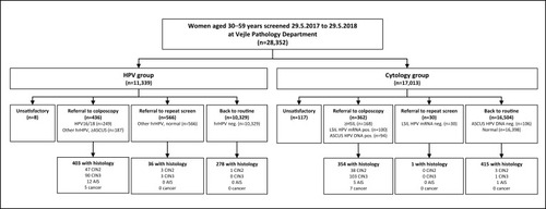 Figure 2 Flowchart of referrals and clinical outcomes among women screened by HPV testing or cytology during year 1 of the HPV SCREEN DENMARK study.