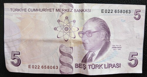 Figure 2. Banknote of ₺5 (Turkish Lira) with Aydın Sayılı. Photographed by the first author.