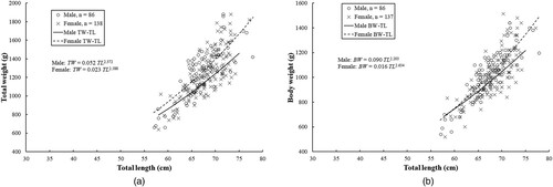 Figure 2. Relationships of (A) total weight and (B) body weight versus total length in male and female Arabian carpet sharks.