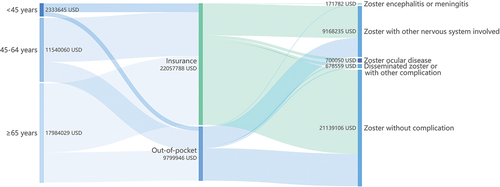 Figure 1. Sankey diagram to describe the hospital costs’ distribution by age groups, payer, and complications at the population level.