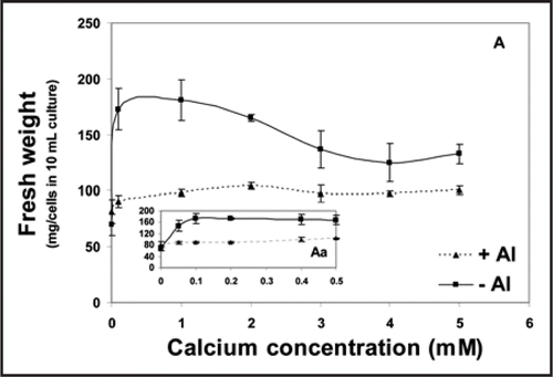 Figure 1 Fresh weight of tobacco cells (mg/cells in 10 mL culture) as influenced by successively increasing concentrations of calcium combined with or without 100 µM Al for 18 h (A). The inset (Aa) shows the impact of Ca concentrations ≤0.5 mM. Each point represents the mean value of three replicates ± SE of two independent experiments.