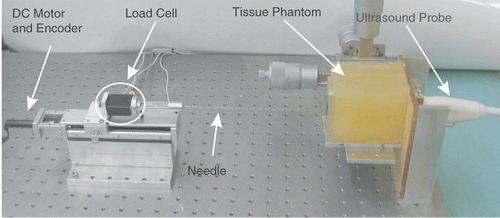 Figure 2. The experimental setup. [Color version available online.]