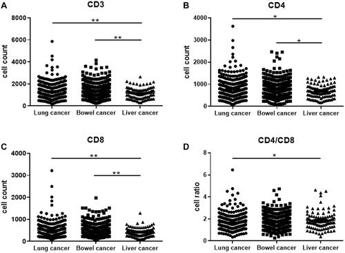 Figure 4 CD3+ (A), CD4+ (B), CD8+ (C) T cell counts and CD4/CD8 (D) ratio in lung cancer, bowel cancer and liver cancer population (*P < 0.05; **P < 0.01).