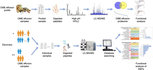 Figure 1 Workflow for OME proteome analysis; *Two experimental groups: simple OME group (12 samples) and radiotherapy-reduced group (7 samples); **Two further subdivided subgroups: nasopharyngeal carcinoma (NPC) group (5 samples) and other types of tumors group (2 samples).