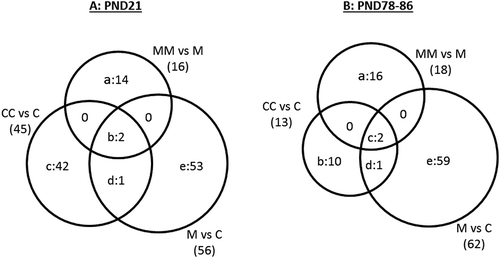 Figure 4. Venn diagram illustrating DEG (FDR p ≤ 0.05; FC ≥ |1.5|) in the comparisons of group (a) CC vs C, M vs C, and MM vs M at PND21; and (b) CC vs C, M vs C, and MM vs M at PND78-86. In Fig. 4A, the 14 genes in region “a” were: Akr1c1, Akr1c12, Arntl, Cyp2d3, Cyp2j3, Dbp, Hsd17b6, Loc689316, Lcn2, Ppapdc1a, Retsat, Rup2, Tff3, Tpt1. The two genes in region “b” were Cyp2c7 and Ubd, while the 42 genes in region “c” were: Abcb11, Actn3, Ccl21, Cmya5, Cox8b, Cpa1, Cpa2, Cpb1, Cpt1b, Cryab, Ctrb1, Des, Eno3, Fabp3, Fdps, Fgb, Fhl1, Gck, Hamp, Hrc, Igtp, Jsrp1, Klkb1, Loc688173, Lmod2, Mgc108823, Mb, Myh8, Myl4, Mylpf, Pla2g1b, Ppp1r1a, Rnase1, Slc25a30, Slc35c2, Spink3, Tnnc1, Tnnc2, Tnni2, Tnnt1, Tpm1, Upk1b. Region “d” included Sult1b1 and region “e” included 53 genes: A2m, Alas1, Aldh1a1, Aldh1a7, Aldh1b1, Apoa2, Ces1c, Ces2a, Ces2i, Ces2j, Cesl1, Cyb5a, Cyp17a1, Cyp1a1, Cyp1a2, Cyp2a1, Cyp2a3, Cyp2b2, Cyp2c37, Cyp3a23/3a1, Defa10, Entpd5, Ephx1, Gsta3, Gsta4, Gsta5, Gstm2, Loc100359554, Loc293989, Loc310902, Loc494499, Loc680955, Maged2, Mmd2, Nat8, Nfil3, Nqo1, Nr0b2, Onecut1, Pbld, Pir, Prkcdbp, Rgd1564906, Ratnp-3b, Selenbp1, Slc16a11, Slc34a2, Tsku, Ugt1a6, Ugt2a3, Ugt2b1, Ugt2b37. In Figure 4(b), the 16 genes in region “a” were: Aldh1a7, Cyp2b2, Cyp2c12, Fgl1, Hbb-b1, Inhbc, Loc305806, Loc689316, Oas1a, Oas1k, Pcolce, Rt1-n1, Rab17, Srd5a1, Tfr2, Wfdc3. The ten genes in region “b” were: Acot5, Apoa5, B3galt1, Cdh17, Dbp, Rgd1560527, Rt1Aa, Slc13a5, Sult2al1, Ubd. The two genes in region “c” were Akr1c12 and Akr1c2 while the one in region “d” was Slc35c2. Finally, the 59 genes in region “e” were: Abcg5, Acsm3, Akr1c1, Bhlha15, C6, Casp12, Cav1, Cidea, Ctnnal1, Ctnnd1, Cyp4a2, Dcn, Dusp26, Efemp1, Efna1, Eif4ebp3, Esm1, F9, Fabp4, Fam111a, Fgf21, Frzb, Gfra1, Gfra2, Gpm6a, Gpsm1, Hist1h1d, Hspa1b, Hspb1, Igfbp6, Inmt, Isg20, Kcnk2, Loc287167, Loc310926, Loc501437, Loc678704, Loc690226, Loc690435, Lox, Lrp5, Ltc4s, Mlc1, Myo7b, Nfatc4, Nrarp, Parp14, Psd, Rgd1561849, Rgd1564865, Rt1-bb, Rgs4, Sdr16c6, Serpinb7, Tap2, Thumpd1, Tpd52l1, Usp9x, Vom2r34.