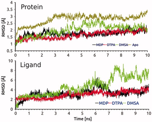 Figure 6. RMSD evolution of Cα of hG6PD in complexes with MDP, DTPA and DMSA compounds, and control system (upper panel) and also heavy atoms of three ligands into the active site (lower panel) during 10 ns MD simulation.