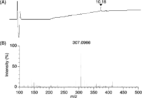 Figure 3. LC-HRESIMS analysis of the purified antibacterial compound obtained by preparative thin-layer chromatography. Ultraviolet detection (A) of the purified antibacterial compound at a retention time of 10.18 min, with the protonated molecule at m/z 307.0966 by HRESIMS in positive ion mode (B).