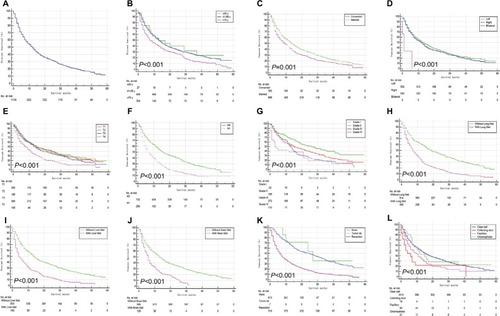 Figure 2 Kaplan–Meier analysis of overall survival among patients diagnosed with initial renal cell carcinoma with bone metastases (A, overall), stratified by age (B), marital status (C), laterality (D), T stage (E), N stage (F), grade (G), lung metastases (H), liver metastases (I), brain metastases (J), surgical treatments of primary site (K), and four common histopathologic groups (L).Abbreviation: Tumor de, tumor destruction; Met, metastases.