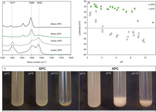 Figure 4. (a) FTIR spectra of APC and GPC at pH 3 and 11. (b) GPC and APC zeta potential as function of suspension pH. (c) Photographs of GPC and APC suspensions at pH 3, 6 and 10.