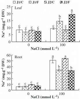 Figure 2 Na+ contents in the roots and leaves of grafted cucumber seedlings under 0 mmol L−1 and 100 mmol L−1 NaCl stress. Values are the mean ± standard error (n = 3). Bars with the same letters indicate no significant difference according to Duncan’s multiple range test (P < 0.05). J1/C, Jinyu No. 1 grafted onto Chaojiquanwang; J1/F, Jinyu No. 1 grafted onto Figleaf Gourd; J2/C, Jinchun No. 2 grafted onto Chaojiquanwang; J2/F, Jinchun No. 2 grafted onto Figleaf Gourd; DW, dry weight.