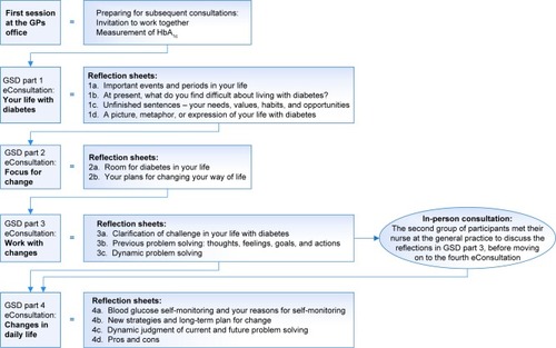 Figure 1 Overview of the GSD eHealth program for adults with T2DM.