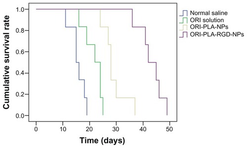Figure 9 Survival curves of tumor-bearing mice treated once daily with normal saline, oridonin (ORI) solution, ORI-loaded atactic poly(D,L-lactic acid) nanoparticles (ORI-PLA-NPs), or ORI-PLA-NPs further modified by surface cross-linking with the peptide Arg-Gly-Asp (ORI-PLA-RGD-NPs).