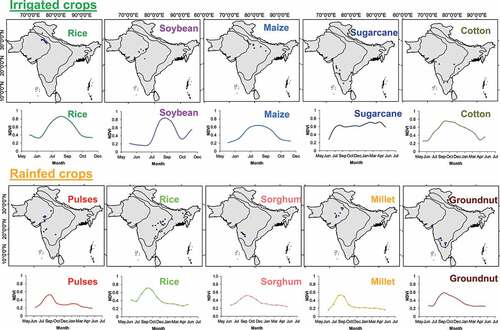 Figure 8. Spectral signatures of major crops obtained using MODIS NDVI time-series data (sample size = 10) (Gumma et al. Citation2017; ICRISAT Citation2022).