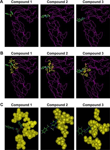 Figure 2 Theoretical analysis of candidate compounds binding to hIL-6R.