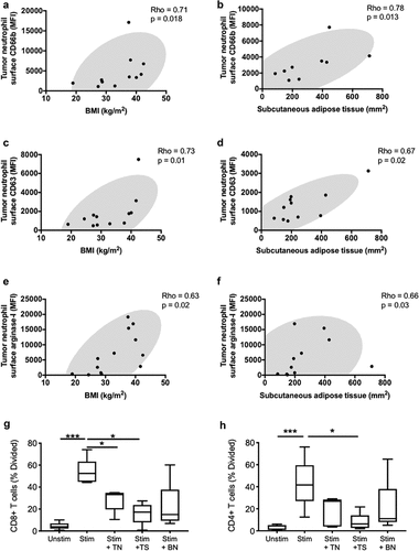 Figure 4. Systemic metabolic state correlates with degranulation by tumor-associated neutrophils. Correlations are shown between tumor-infiltrating neutrophil surface expression of granule release markers related to secondary granules (CD66b) (a-b), primary granules (CD63) (c-d) and the effector enzyme arginase-1 (e-f), and BMI or subcutaneous adipose tissue. BMI was calculated using the patients’ height and weight and subcutaneous adipose tissue area was calculated using an MRI dissection system as described in the methods. (g-h) Co-culture assay of T-cells with blood neutrophils (BN), tumor neutrophils (TN), and tumor supernatant (TS). Correlations were assessed using Spearman’s test, while comparison for the T cells assay was performed using the Friedman’s test with uncorrected Dunn’s test (* p < .05; *** p < .001)