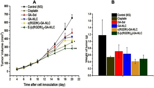 Figure 4 In-vivo antitumor effect of the formulations. (A) Changes in tumor volume after cell inoculation (day 0–20) and over the course of treatment (day 10–20). At the last day of the treatment the mice treated with [c(RGDfK)2]-GA-NLC and Cisplatin showed considerably lower tumor volume in comparison to free GA, GA-NLC and control group. (B) Weight of tumor at the end of treatment excised from mice treated with different formulations of GA. (***p-value <0.001 and *p-value <0.05 in relation to GA-NLC).