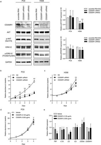 Figure 4. Evaluation of CD200R1 functions with CD200R1 knockdown and CD200Fc administration