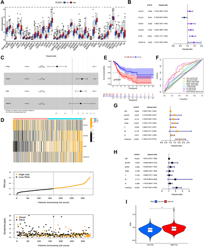 Figure 7 Construction of a PLXDC1-related immune prognostic risk model. (A) Differential analysis of immunomodulators in the high and low PLXDC1 expression groups. (B) Univariate Cox survival analysis of 48 immunomodulators associated with PLXDC1 expression in TME of gastric cancer. (C) Multivariate Cox analysis to screen candidate genes to construct a PLXDC1-associated Cox risk proportional regression model. (D) Distribution of patient samples in the high- and low-risk groups classified by the Cox risk model. (E) Prognostic analysis was performed by dividing patients into high and low risk groups according to the median value of the model risk scores. (F) Accuracy of ROC curve assessment model risk scoring and clinicopathological parameters in the prediction of prognosis. Model risk scoring combined with clinicopathological parameters for (G) univariate Cox and (H) multivariate Cox analyses. (I) TIDE assessment of immune evasion potential in the high- and low-risk groups of the risk model. *P value < 0.05; **P value < 0.01; ***P value < 0.001.