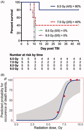 Figure 1. A. Kaplan-Meier curves for 45-day survival following exposure to 6.5 to 9.5 Gy of 6 MV photon total body irradiation (TBI). Animals were exposed to graded doses of total body irradiation (6.5 to 9.5 Gy, 1 Gy increments; n = 5/dose). All animals succumbed to radiation-induced mortality between day 7 and day 15 postTBI. Animals surviving to day 15 demonstrated a recovery in hematological, serum chemistry, and clotting kinetics by day 45. On gross exam, no overt signs of tissue damage were noted. However, histology exam showed extensive pathology. B. Logistic-regression analysis for 45-day mortality with 95% confidence interval. The LD10 is estimated to be 6.30 Gy with 99% lethality at 9.05 Gy. The LD50 is estimated to be 7.19 Gy and the LD70 is estimated to be 7.53 Gy.