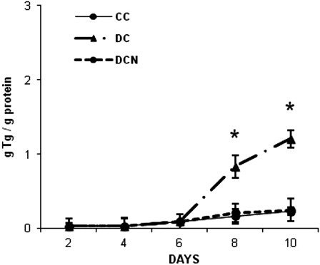 Figure 1. Triglyceride accumulation in 3T3-L1 during adipogenic differentiation. NAC was added at day 0 and replaced every day for 10 days (DCN). The results are the average of four independent experiments (mean ± SD). *P < 0.01, MDI-treated cells (DCs) vs. control cells (CCs).