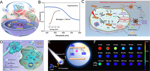 Figure 3 (A) Illustrating PDT-induced cell apoptosis on H-germanene under laser irradiation. Reproduced from Ge M, Guo H, Zong M, et al Bandgap-engineered germanene nanosheets as an efficient photodynamic agent for cancer therapy. Angew Chem Int Ed Engl. 2023:62.Citation47 Copyright 2023 Wiley-VCH GmbH. (B) UV-vis diffuse reflectance spectra and tauc plots of H-germanene nanosheets. Reproduced from Ge M, Guo H, Zong M, et al Bandgap-engineered germanene nanosheets as an efficient photodynamic agent for cancer therapy. Angew Chem Int Ed Engl. 2023:62.Citation47 Copyright 2023 Wiley-VCH GmbH. (C) Schematic illustration of dual-enhanced PDT therapy. Reproduced from Chen Z, Wu Y, Yao Z, et al 2D copper (II) metalated metal-organic framework nanocomplexes for dual-enhanced photodynamic therapy and amplified antitumor immunity. ACS Appl Mater Interf. 2022;14(39):44199–44210.Citation44 Copyright 2022 Journal of the American Chemical Society. (D) Schematic diagram of the mechanism of photodynamic tumor nanotherapy. Reproduced from Nano Today. Volume 42. Chang M, Dai X, Dong C, et al Two-dimensional persistent luminescence “optical battery” for autophagy inhibition-augmented photodynamic tumor nanotherapy.Citation38 Copyright 2022, with permission from Elsevier. (E) Illustration of persistent luminescence mechanism of CAO PLNSs. Reproduced from Nano Today. Volume 42. Chang M, Dai X, Dong C, et al Two-dimensional persistent luminescence “optical battery” for autophagy inhibition-augmented photodynamic tumor nanotherapy.Citation38 Copyright 2022, with permission Elsevier. (F) The persistent luminescence images at different time intervals (0–120 min) of CAO PLNSs after 10 min under irradiation of 365 nm UV lamp, then reactivated by white LED lamp for 5 min (130–180 min). Reproduced from Nano Today. Volume 42. Chang M, Dai X, Dong C, et al Two-dimensional persistent luminescence “optical battery” for autophagy inhibition-augmented photodynamic tumor nanotherapy.Citation38 Copyright 2022, with permission from Elsevier.