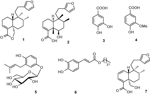 Figure 1. Structure of compounds isolated from D. viscosa.