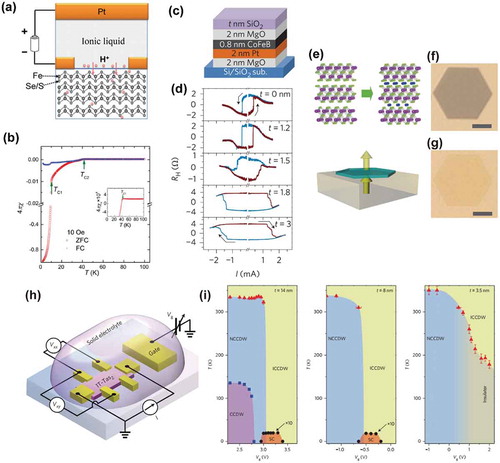 Figure 16. Effect of ion doping in superconductivity, spintronics, and two-dimensional materials. (a–b) Protonation induced superconductivity modulation in FeSe2 single crystal, where the setup for proton doping is shown in (a) and the higher superconducting transition temperature after protonation can be observed in (b) [Citation26]. (c–d) Spin orbit torque tuned by oxygen manipulation. (c) Film structure where SiO2 capping layer control the oxygen level of the device. The switching of Hall resistance ~ in-plane current curve with reducing capping layer thickness is shown in (d) [Citation16]. (e–g) Cu doping induced transparency in Bi2Se3 nanoplates, where the Cu is doped into gap between the two-dimensional layers (e). (f) and (g) show the transmission optical image of Bi2Se3 nanoplate before and after doping [Citation21]. (h–i) Li-ion-doping induced electronic ground state variation of layer-structured 1T-TaS2 thin flakes. (h) Schematic setup of 1T-TaS2 ionic field effect transistor for Li doping. (i) Li-doping induced phase evolution in 1T-TaS2 thin flakes in three thickness regions [Citation30]. Reproduced with permissions from Ref. [26] © Elsevier 2018, Ref. [16] © Springer Nature 2015, Ref. [21] © Springer Nature 2014, Ref. [30] © Springer Nature 2015.