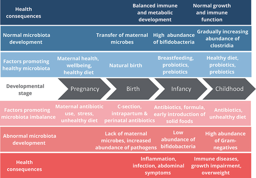 Figure 1. Gut microbiota development and its effects on current and later-life health.
