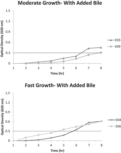 Figure 2. A. Moderate growth graph (optical density at 620 nm vs. time) of isolates E03 and E09 with added bile; reaching A620nm = 0.3 unit within 6–8 hours.B. Fast growth graph (optical density at 620 nm vs. time) of isolates E04 and E06 with added bile; reaching A620nm = 0.3 unit within 4–6 hours.